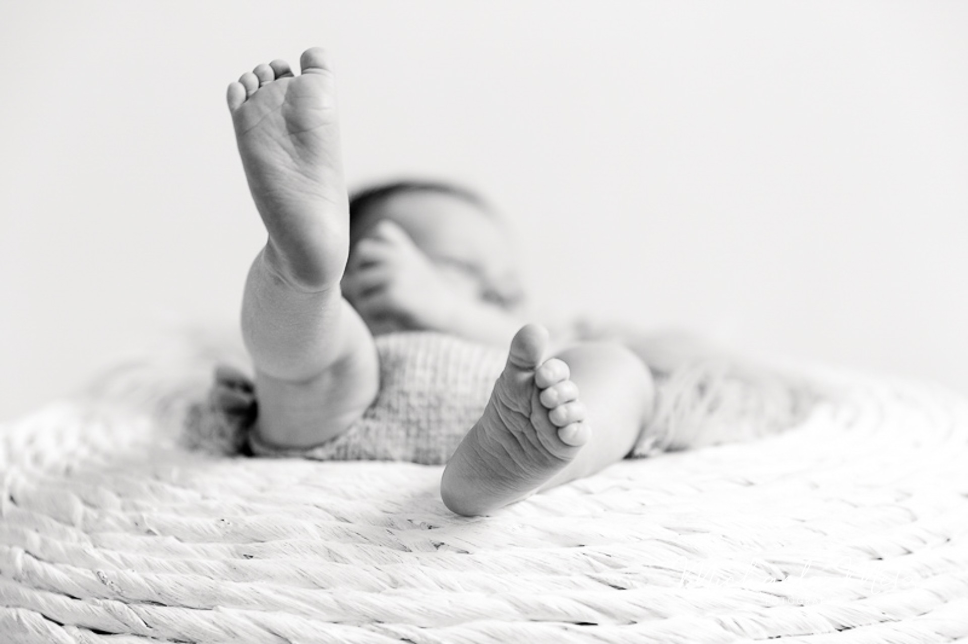 Familienfotografie und Neugeborenenfotografie_Tageslichtstudio_ Michaela Metz_ihre Fotografin in Heppenheim